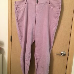 Torrid Pastel Lavender/Pink Jeans